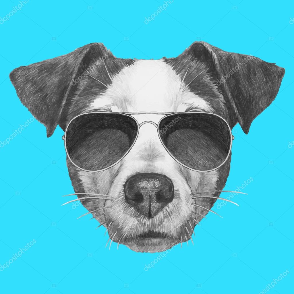 jack russell sunglasses