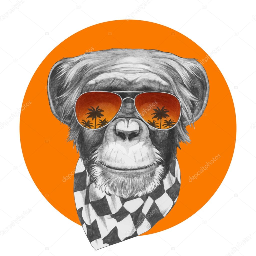 Monkey with scarf and mirror sunglasses