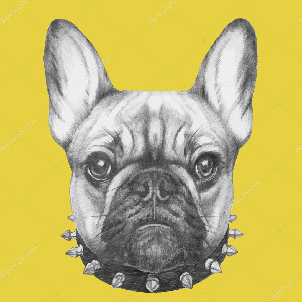 フレンチ ブルドッグストックベクター ロイヤリティフリーフレンチ ブルドッグイラスト Depositphotos フレンチ ブルドッグストックベクター ロイヤリティフリーフレンチ ブルドッグイラスト Depositphotos