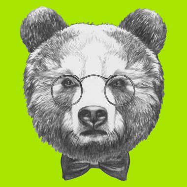 Gözlük ve papyon ile ayı