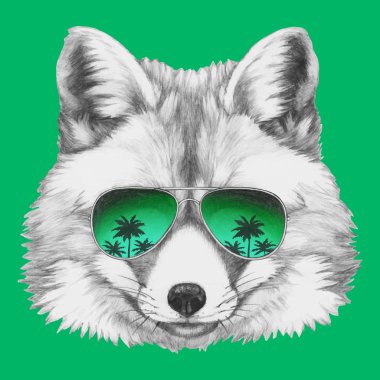 Güneş gözlüğü ile orijinal Fox