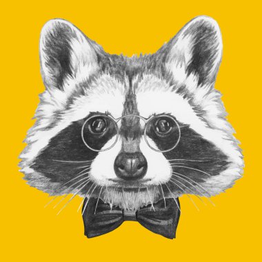 Rakun gözlük ve papyon ile