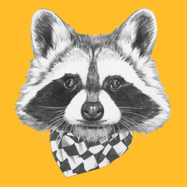 Rakun portresi eşarp ile