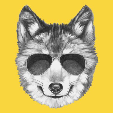 Orijinal Wolf ile güneş gözlüğü