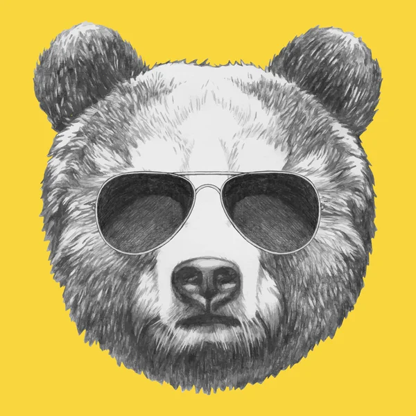 Retrato de urso com óculos de sol — Vetor de Stock