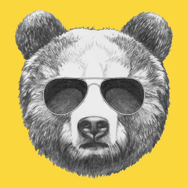 Retrato de Oso con gafas de sol — Vector de stock