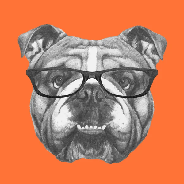 Bulldog Inggris dengan kacamata - Stok Vektor