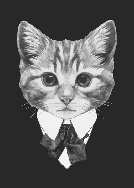 Ilustración de moda del gato — Vector de stock