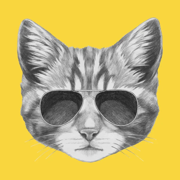 Retrato de Gato com óculos de sol — Vetor de Stock