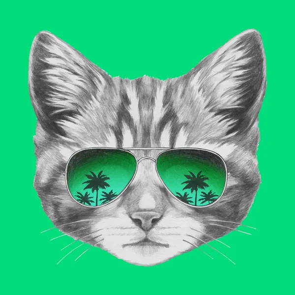 Ayna güneş gözlüğü ile kedi — Stok Vektör