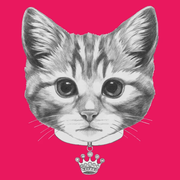 Portrait de chat avec collier — Image vectorielle