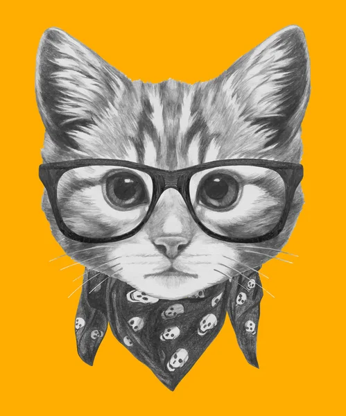 Katze mit Brille und Schal. — Stockvektor