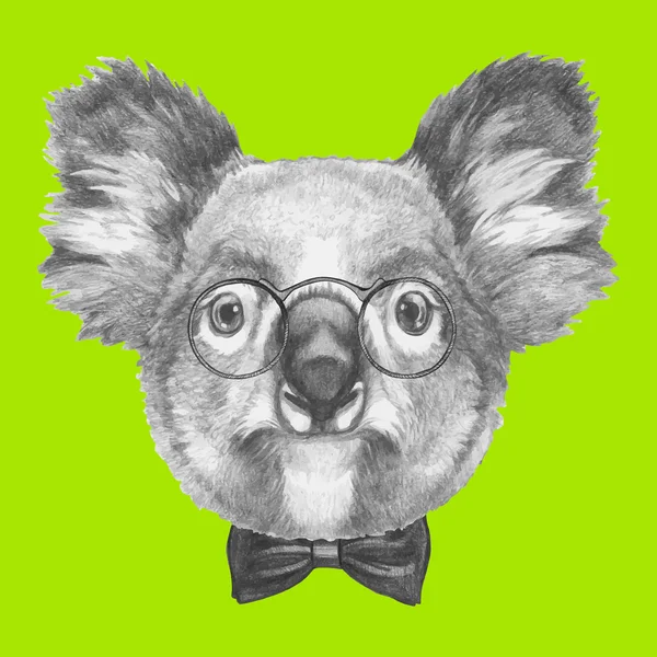 Koala mit Brille und Fliege — Stockvektor