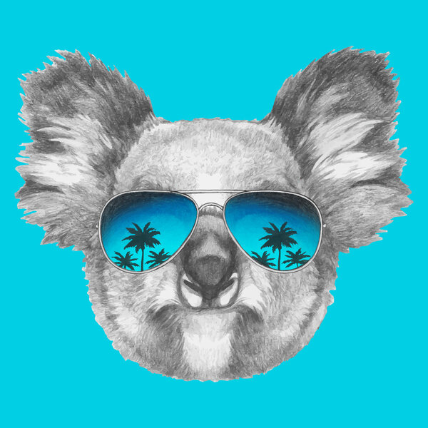 Koala with mirror sunglasses