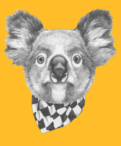 Portrait of Koala with scarf — Stock Vector