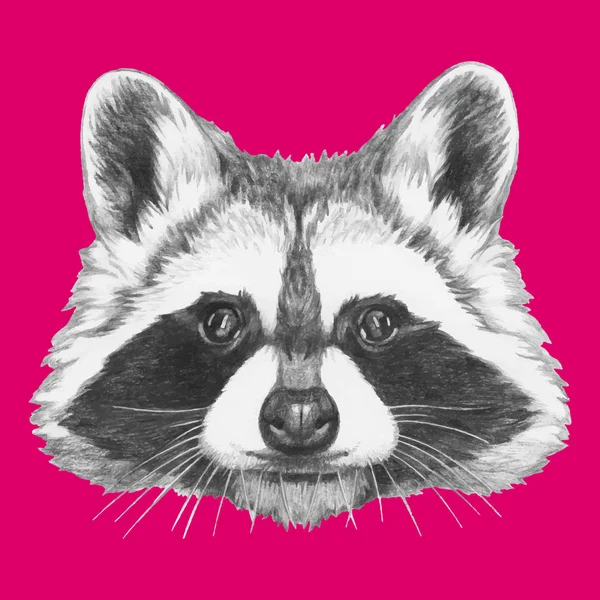 Hand getekend portret van Raccoon — Stockvector