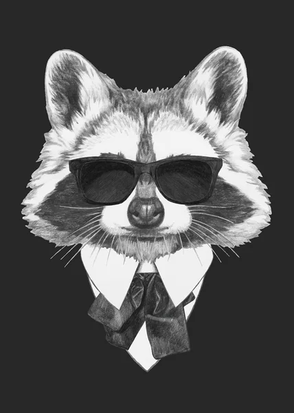 Mode illustratie van Raccoon — Stockvector