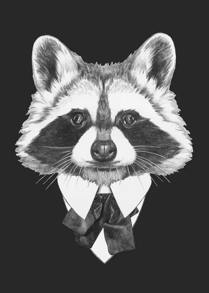 Fashion Illustration of Raccoon — Stock Vector