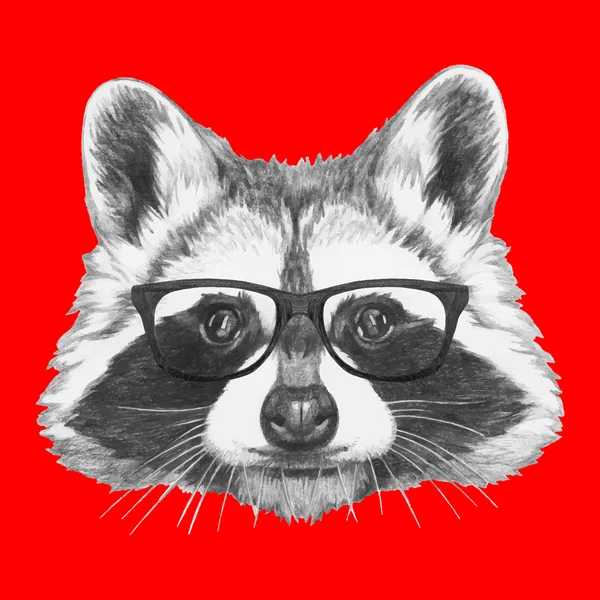 Portrait of Raccoon with glasses — Stock Vector