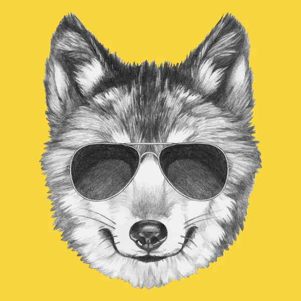 Lobo original com óculos de sol — Vetor de Stock