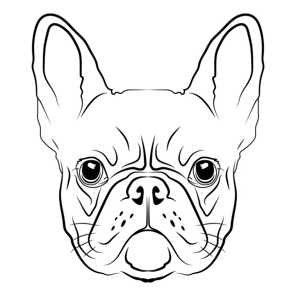 Cabeza de bulldog francés — Vector de stock