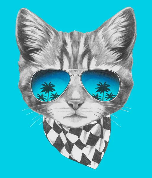 Gato con gafas de sol espejo y bufanda . — Vector de stock