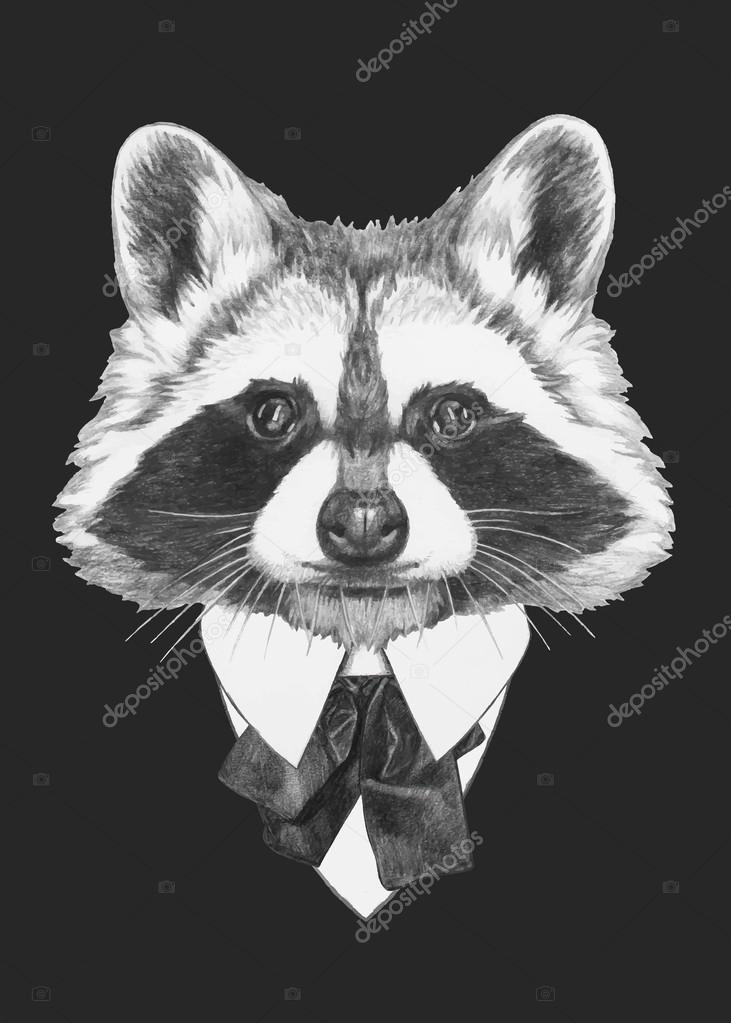 fashion Illustration of Raccoon