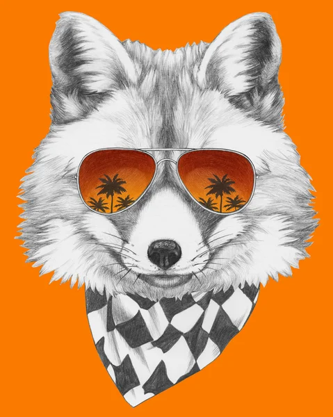 Fox avec lunettes de soleil miroir et écharpe . — Photo