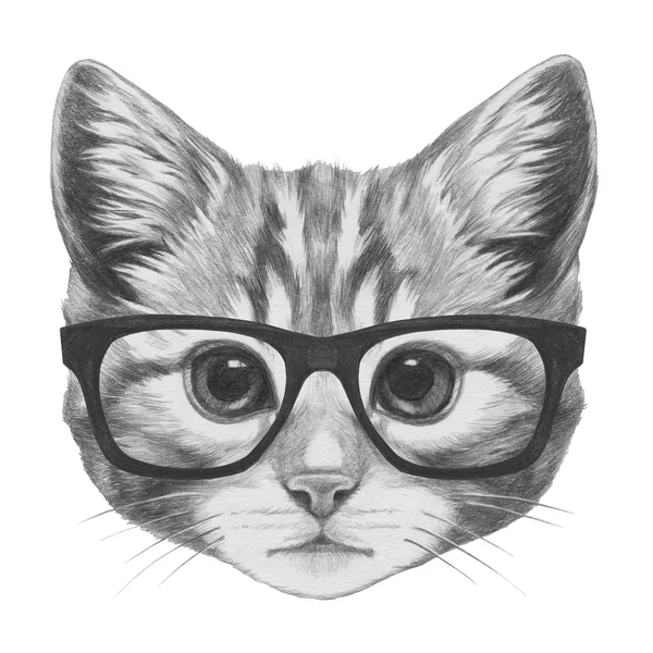 ภาพวาดต้นฉบับของแมวที่มีแว่นตา — ภาพถ่ายสต็อก