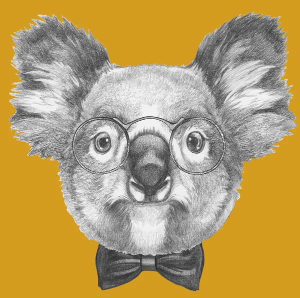 Koala with glasses and bow tie — Stock Photo, Image