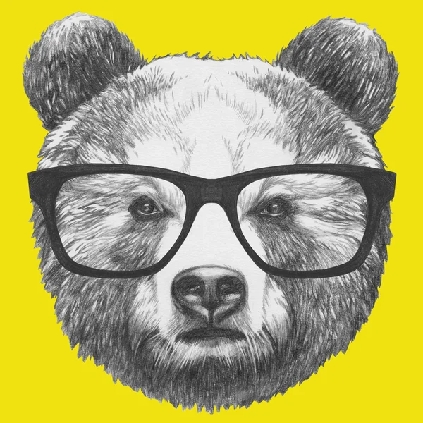 Gözlüklü ayı özgün çizim