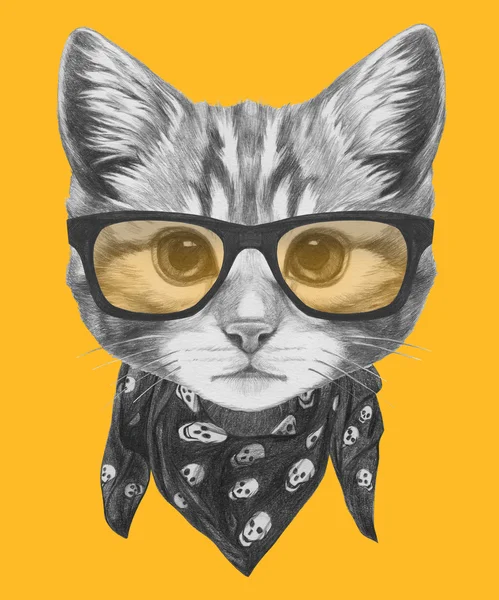 Gato con gafas y bufanda — Foto de Stock