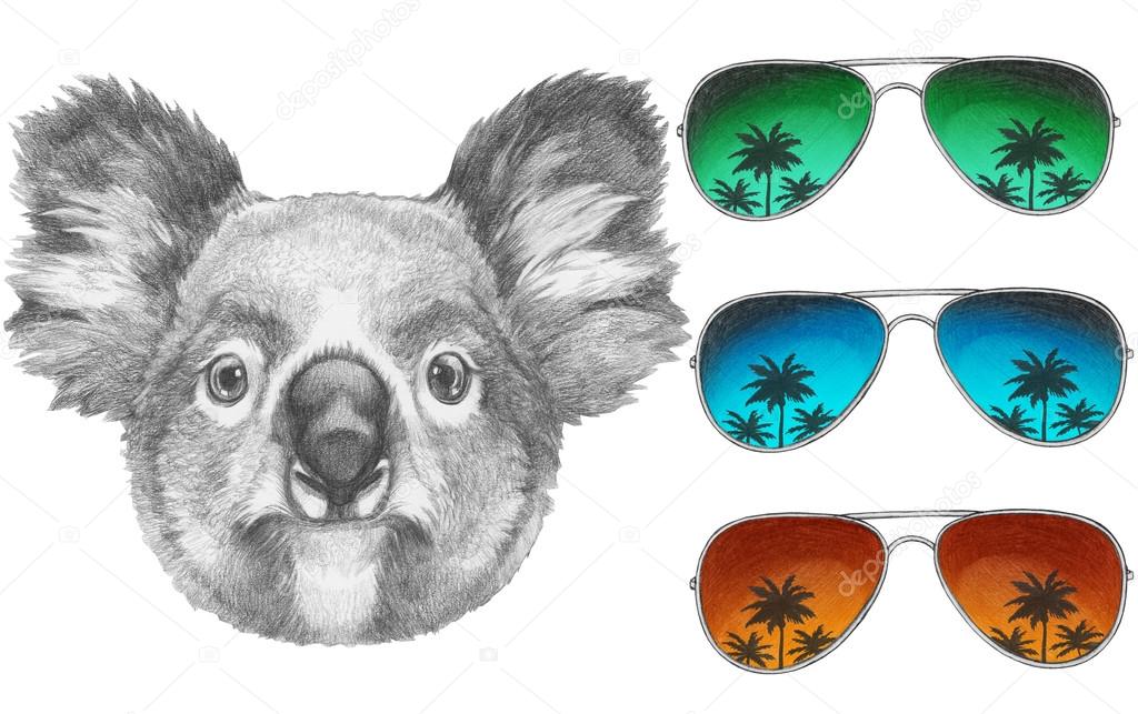 koala in sunglasses