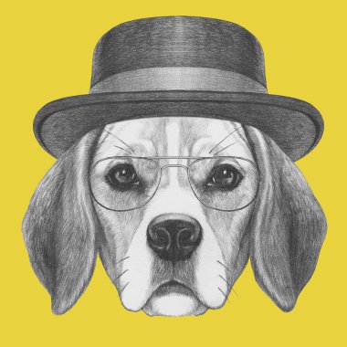 Beagle köpek portre şapka ve gözlük