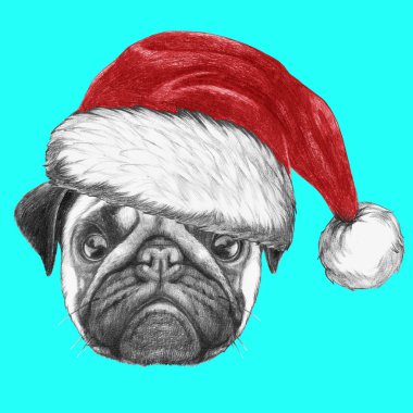 Pug köpek Noel Baba şapkası ile portresi