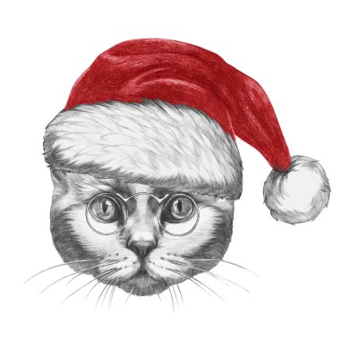 Santa şapka ve gözlük ile kedi.