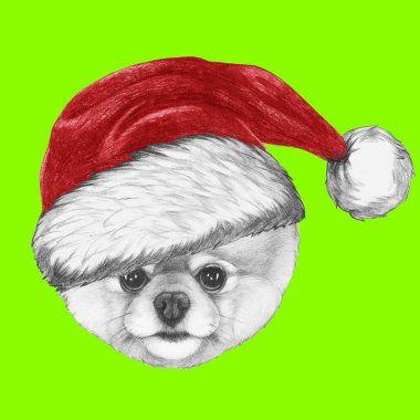 Pomeranian Santa şapka ile