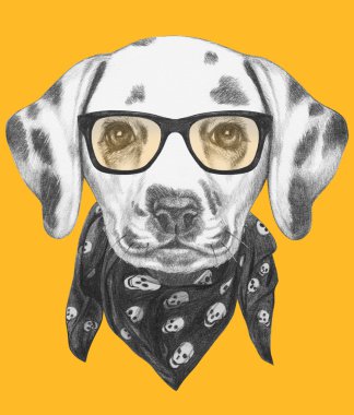 Gözlük ve eşarp ile Dalmaçya köpeği
