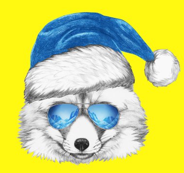 Santa şapka ve güneş gözlüğü ile tilki