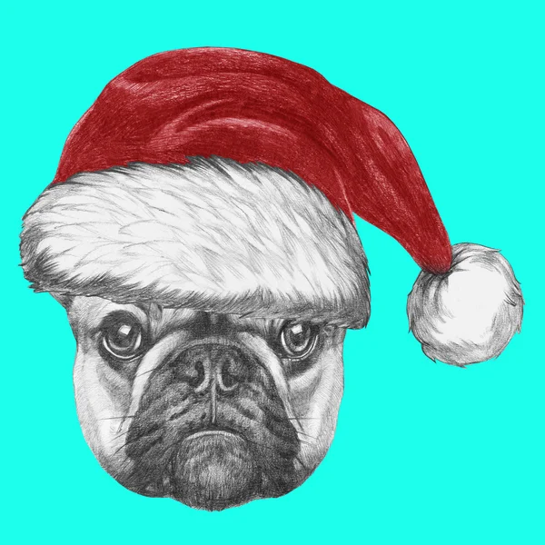 Bulldog francês com chapéu de Santa — Fotografia de Stock
