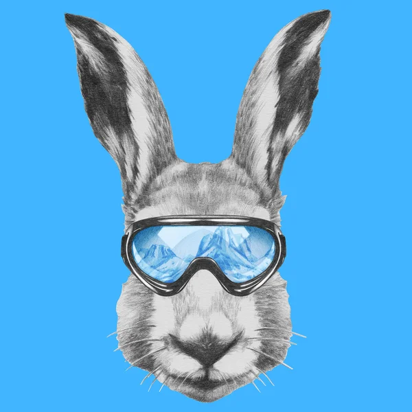 Portrét zajíc s lyžařské brýle. — Stock fotografie