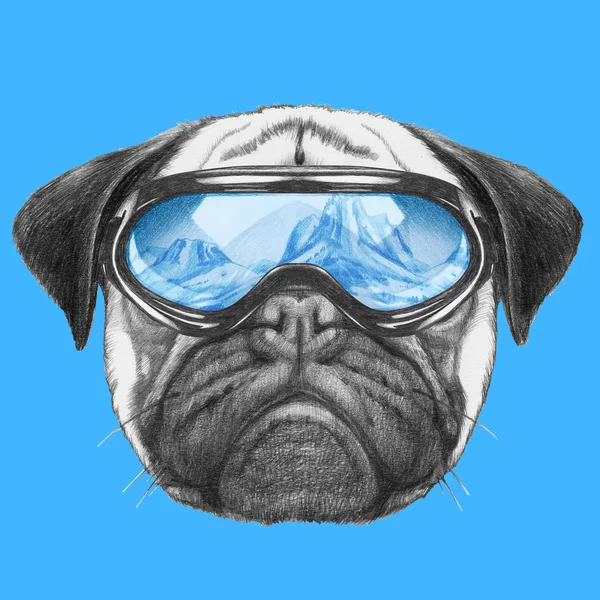 Retrato de Pug Dog con gafas de esquí — Foto de Stock