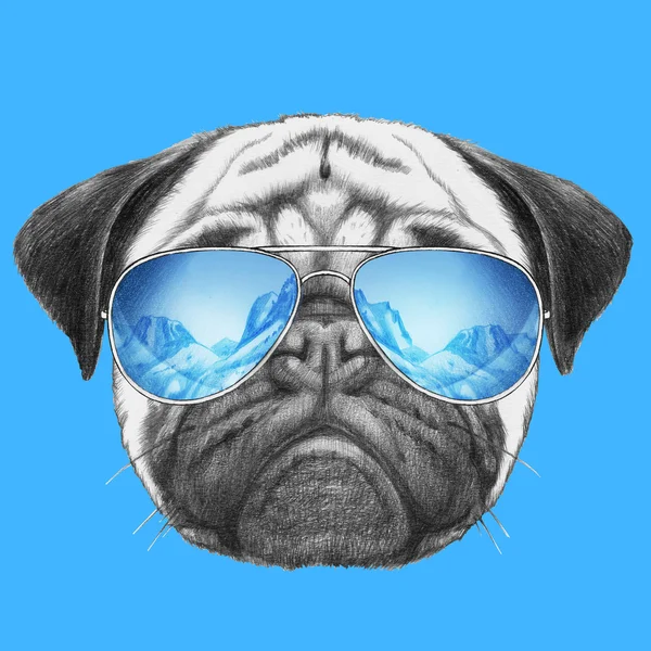 Ayna güneş gözlüğü ile pug köpek