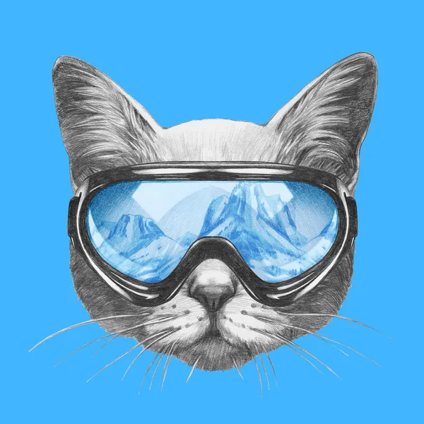 Retrato de gato com óculos de esqui — Fotografia de Stock