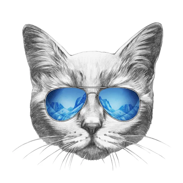 サングラスをかけた猫の肖像画 ストックベクター C Victoria Novak
