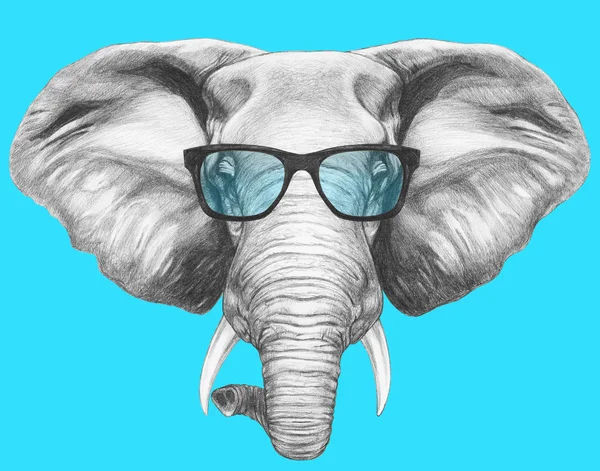 Портрет слона в очках — стоковое фото