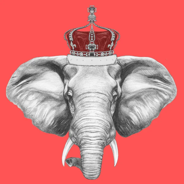 大象与皇冠的肖像 — 图库照片
