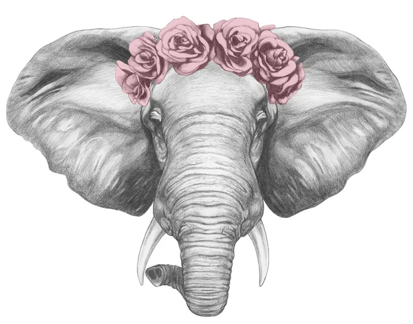 Elefante con corona floral — Foto de Stock