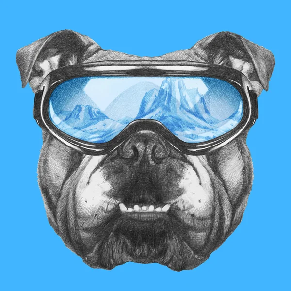 Bulldog inglés con gafas de esquí — Foto de Stock