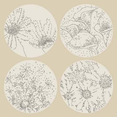 çiçek noktalı desenleri